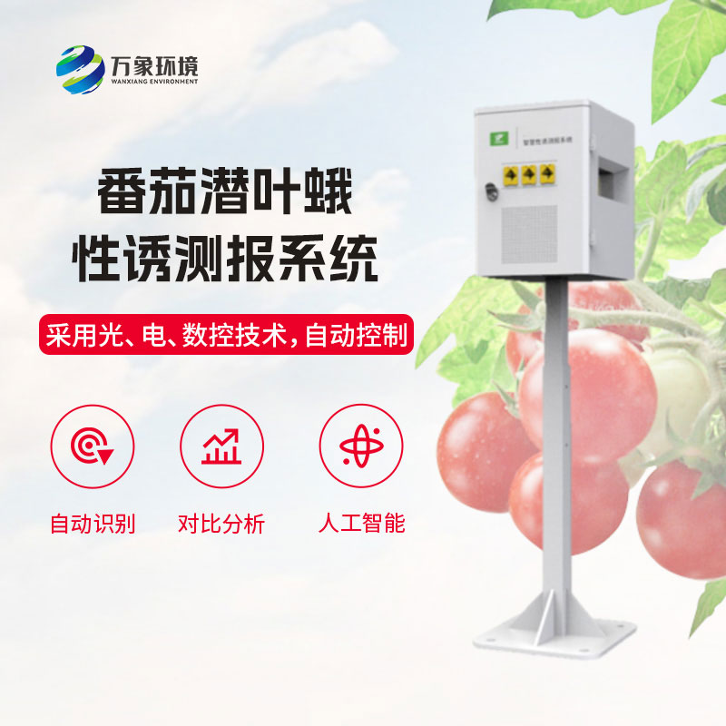 番茄潛葉蛾性誘測報系統