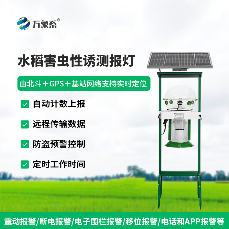 水稻田性誘測報燈：蟲害監測的“綠色精靈”