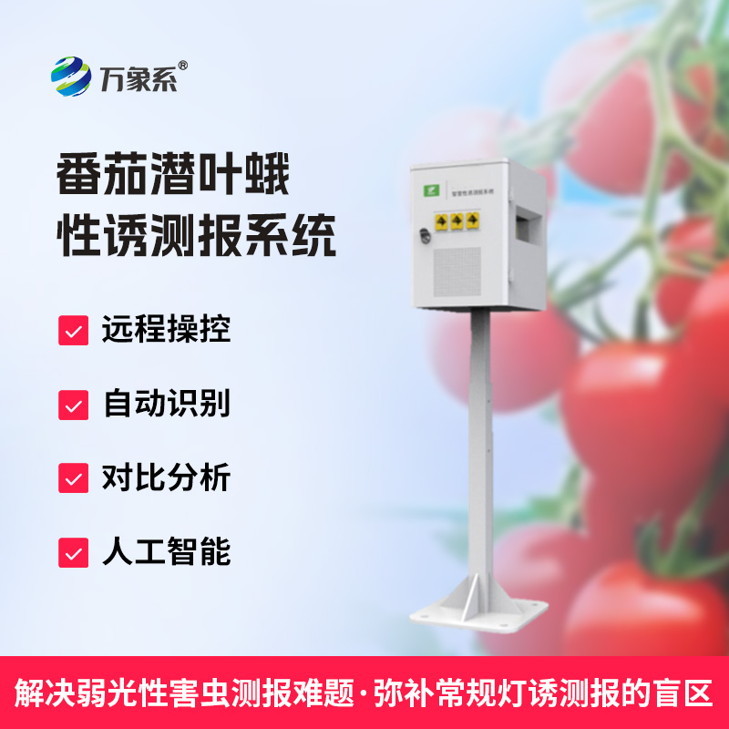 番茄潛葉蛾性誘測報系統：守護番茄園的科技衛士