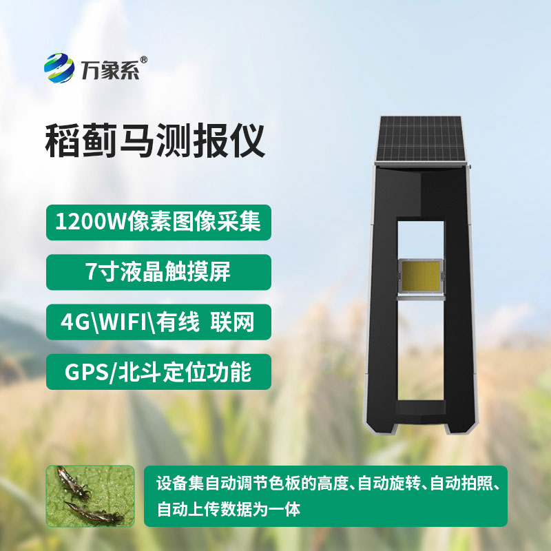 悄尋稻田蟲害蹤跡：稻薊馬測報儀的守護使命